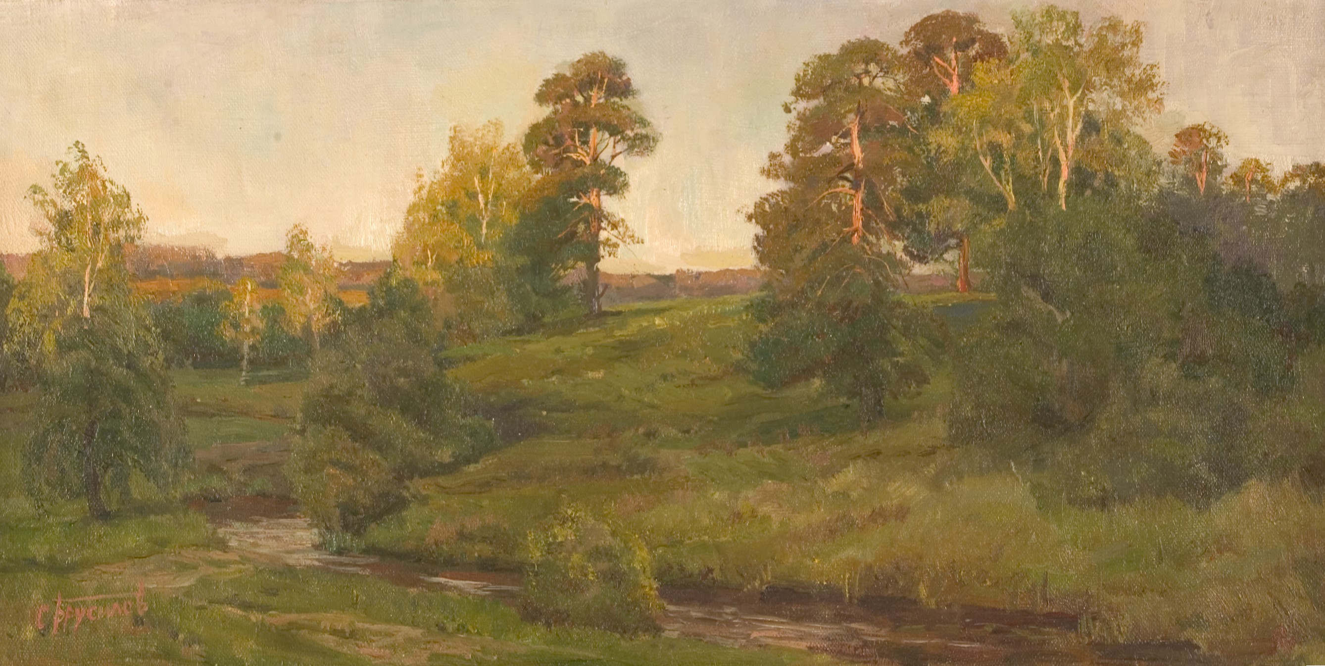 Old Pines by Stanislav Brusilov 