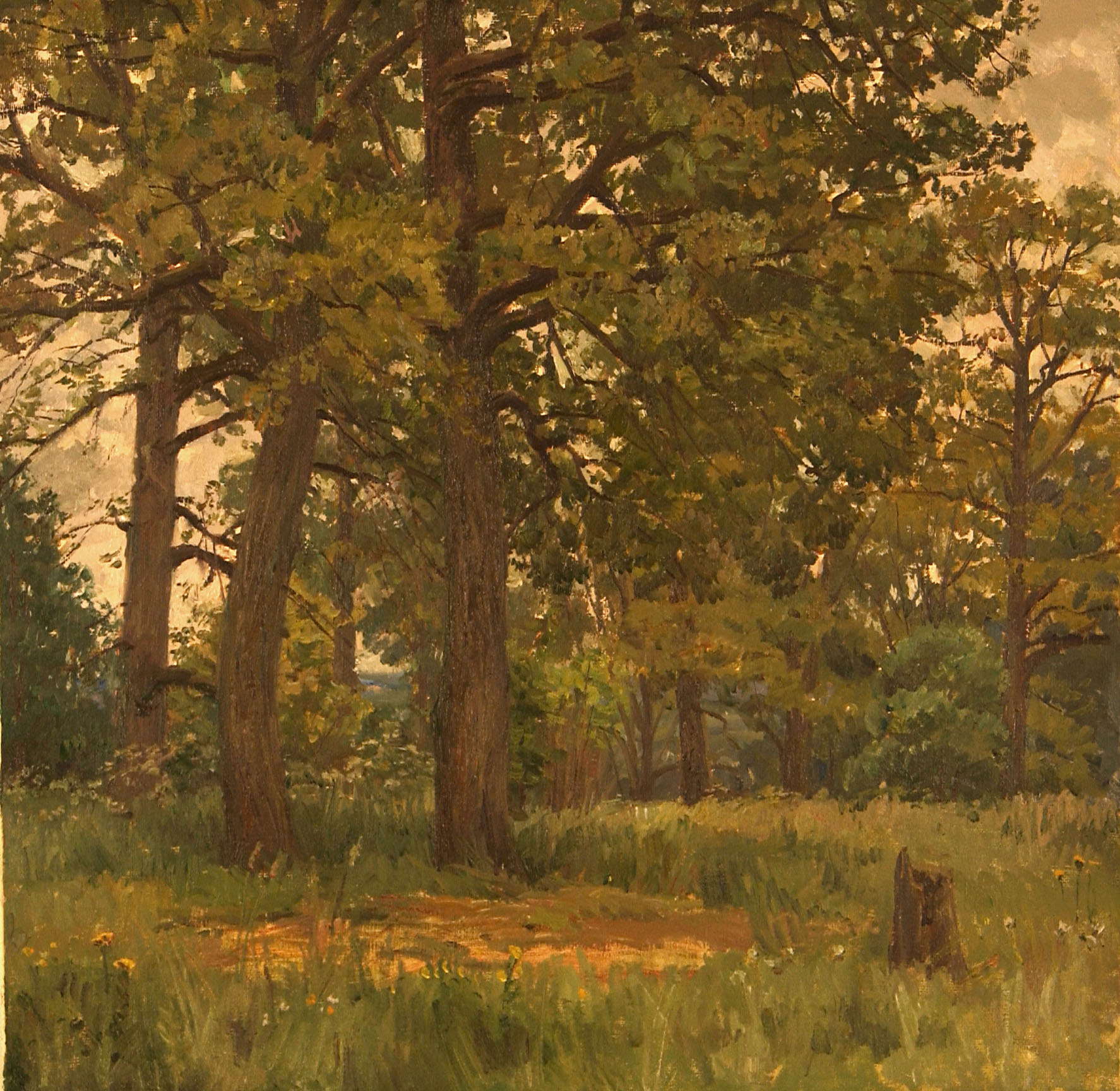 Old Oak Trees by Stanislav Brusilov 