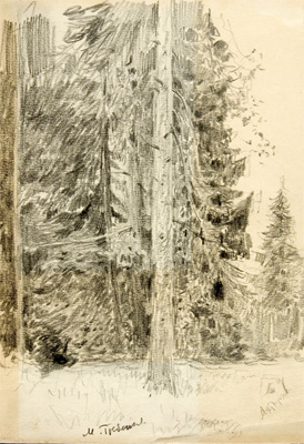 Forest Sketch by Mikhail N. Grebyekov