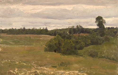 Overcast Field by Nikita Fedosov