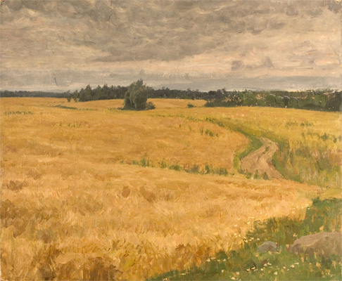 Fields of Wheat by Nikita Fedosov