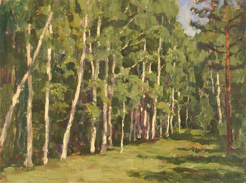 Birch Grove by Nikita Fedosov