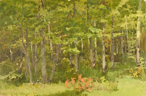 Oak Grove by Nikolai Sergeyev