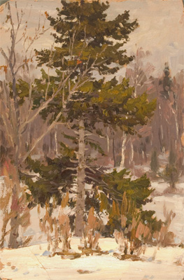 Pine by Nikolai Ulyanov