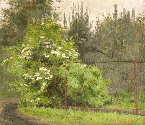 Bush of Snowball Tree by Tsvetlana Smirnova