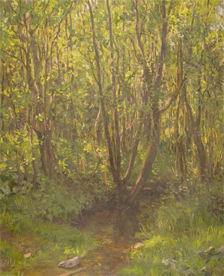Forest Creek by Yuri Kugach