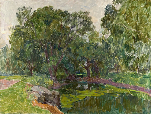 The Pond Covered by Vegitation by Vyacheslav Zabelin