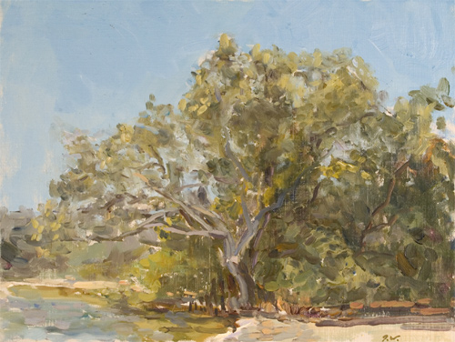 Green Island by John Wurdeman