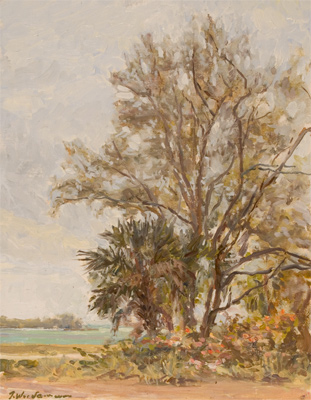 In the Shadow of Tall Trees by John Wurdeman