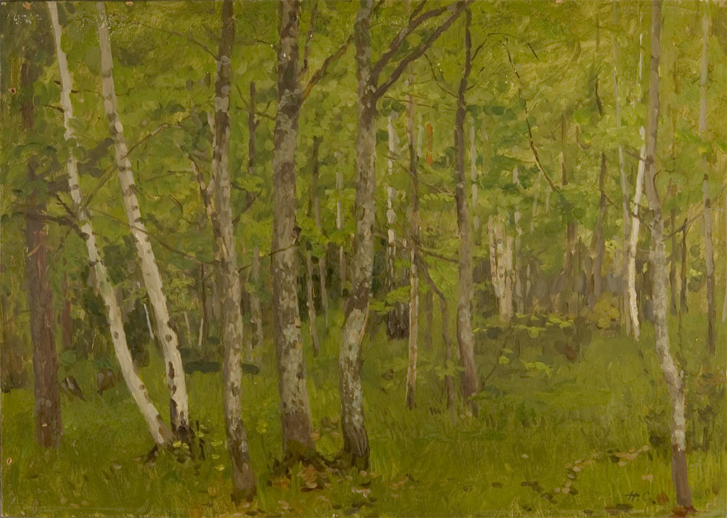 Moscow Region - Svernegorod by Nikolai Sergeyev