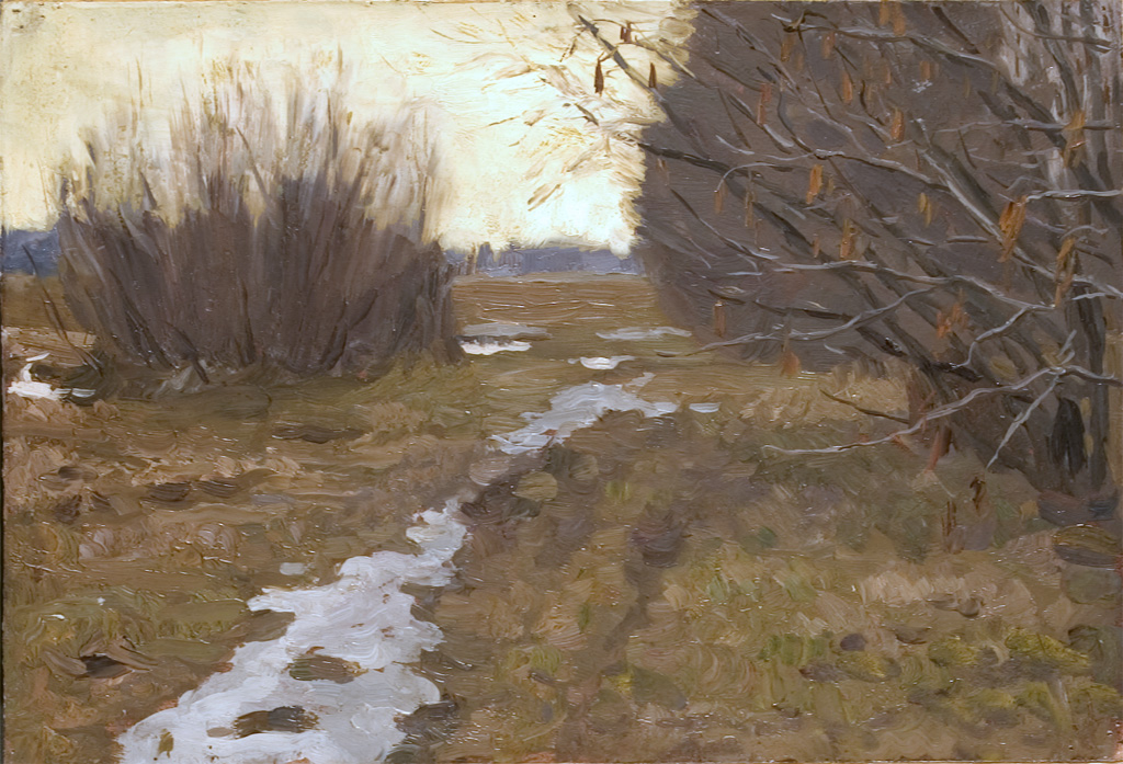 Snow's Left by Irina Shevandronova