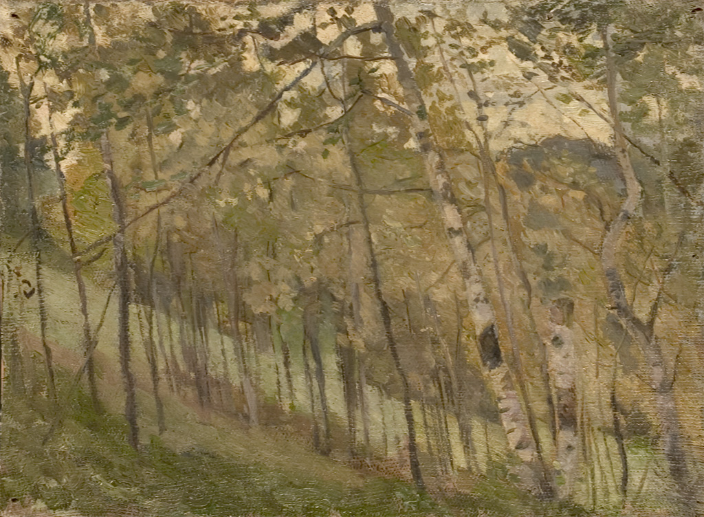 Birch Trees by Irina Shevandronova