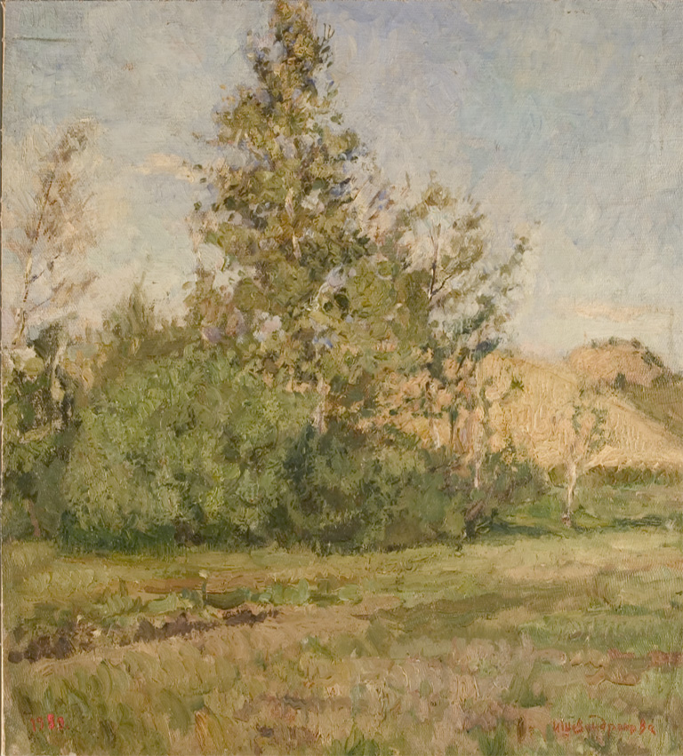 Summer Evening by Irina Shevandronova